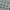 Grey, variant on Wonder Nation Toddler Kids EVA Water Sneakers