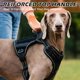 thumbnail image 5 of Arneses tácticos para perros chaleco reflectante ajustable con asa reforzada, 5 of 8