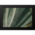 thumbnail image 2 of Valner, Jessica 24x17 Black Modern Framed Museum Art Print Titled - Agave Tequiliana, 2 of 5
