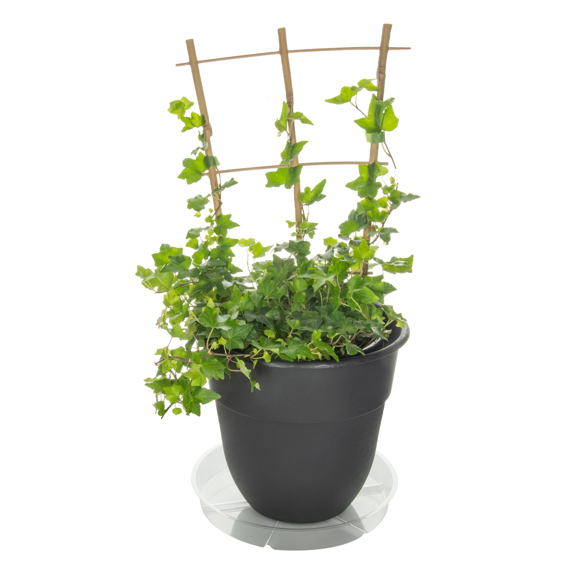 (5 pack) Mainstays 10" Heavy Duty Clear Round Vinyl Plant Saucer