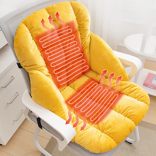 Birdeem Usb Heating Seat Cushion with Back Support,Warm and Cozy Office Chair Pad,Portable Electric Heating Cushion for Car and Home Use,Lumbar Protection for Adults