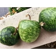 thumbnail image 5 of TomorrowSeeds - Small Apple Gourd Seeds - 50+ Count - For 2026 Planting Ornamental Gourds Green, 5 of 8