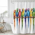 thumbnail image 4 of Colorful Parrot Bathroom Shower Curtains with 12 Hooks Polyester Waterproof Shower Curtain for Stalls and Bathtubs Watercolor Modern Funny Animal Bird Decorative Bathroom Privacy Curtain 36x78 Inches, 4 of 8