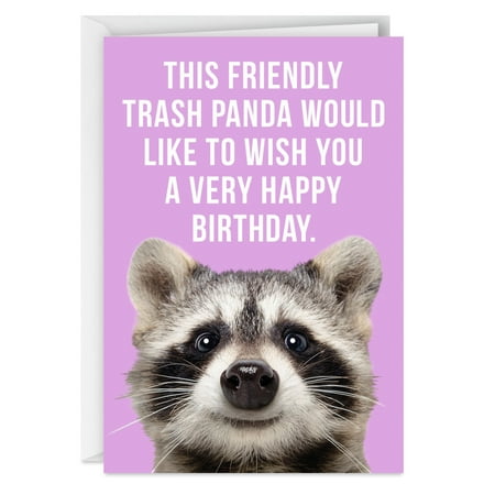 Hallmark Shoebox Funny Birthday Card (Trash "Panda")