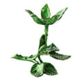 thumbnail image 2 of Metal Plated Flower Display Crystal Glass 60 70mm Large, 2 of 8