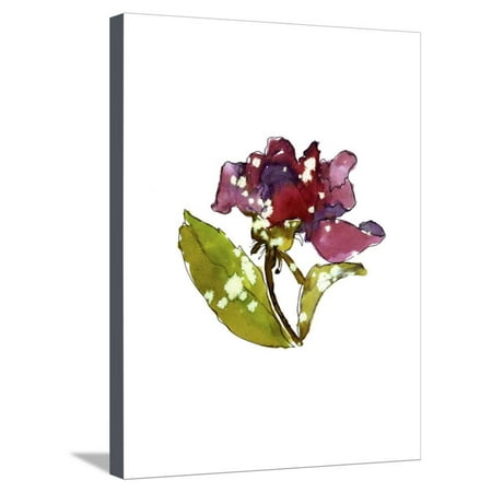 - Marsala Rose Stretched Canvas Print Wall Art By Cayena Blanca