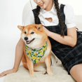 thumbnail image 3 of Goofa Lemon1 Pattern Pet Scarf Bandana - Adjustable and Comfortable,Dog Scarf Bib Kerchief Breedfor Dogs and Cats-, 3 of 8