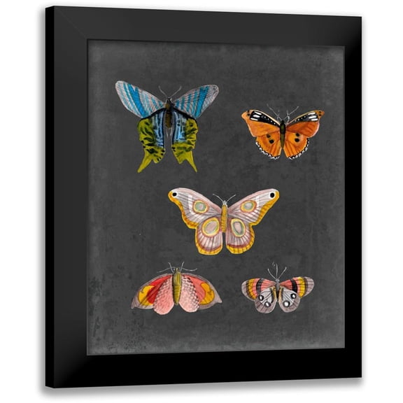 McCavitt, Naomi 12x14 Black Modern Framed Museum Art Print Titled - Butterflies on Slate II