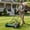 Green, variant on 18 Inch Push Reel Lawn Mower with 5 Manganese Steel Blades, 4-Position Cutting Height, Removable Grass Catcher, Manual Walk-Behind Mower with 10" Wheels for Garden Yard Lawn Care Green
