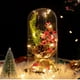 thumbnail image 3 of Plantas navideñas con cúpula de cristal Adornos navideños Rama de pino navideña con cúpula de cristal y luces, 3 of 5