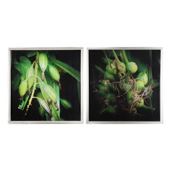 A&B Home Botanical Photography Framed Wall Art - Set of 2 - 20"H x 20"W - Green/Black