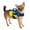 Blue- Yellow, variant on New Doggy Life Jacket-nylon paws Aboard F1600 XL Weight 90 Ibs & Up Orange Flame "Bad to the bone"