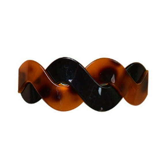 RAGUPEL 2 Pcs Acrylic Hair Clips, Stylish Barrettes for Women, Durable Medium Hair Clips for Thick and Fine Hair