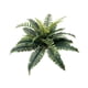 thumbnail image 2 of Pared de helechos artificiales con hojas persas grandes simuladas | Decoración de hojas de helecho de Boston de imitación para arreglos florales verdes, 2 of 6