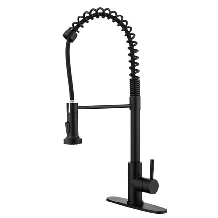 

Kitchen Faucet with Pull Out Spraye