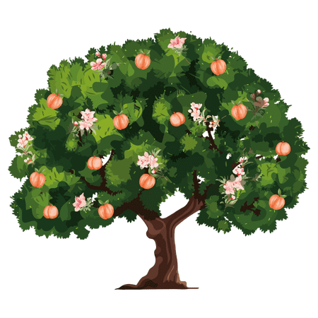 Peach Tree with Lots of Peaches and Flowers Artwork Design Vinyl Wall Decal - Collection of Sweet Fruits on a Branch for Living Room Wall Decoration - 20" x 22"