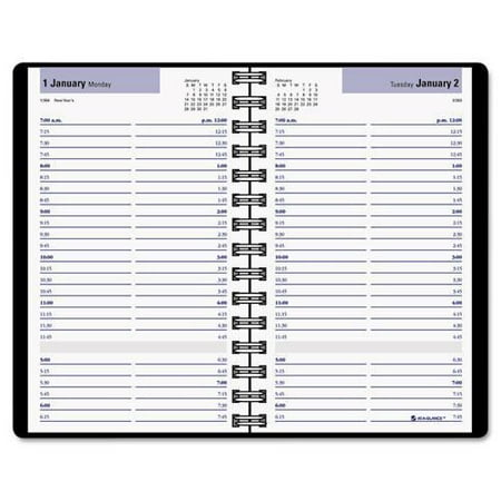 DayMinder Daily Appointment Book with15-Minute ...