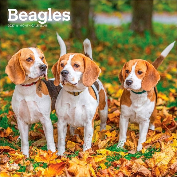 Beagles 2027 12 X 24 Inch (Hanging) Monthly Square Wall Calendar Plastic-Free, (Paperback)