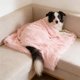 thumbnail image 5 of Manta Suave de Fibra Larga para Mascotas (Perros y Gatos): Ropa de Cama Transpirable, Peluda y Acogedora para Usar En La Perrera, El Sofá o El Coche. Alfombrilla de Descanso de Tela Sintética para La, 5 of 6