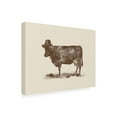 thumbnail image 4 of Trademark Fine Art Florent Bodart  Cow Cow Nut Canvas Wall Art, 4 of 4