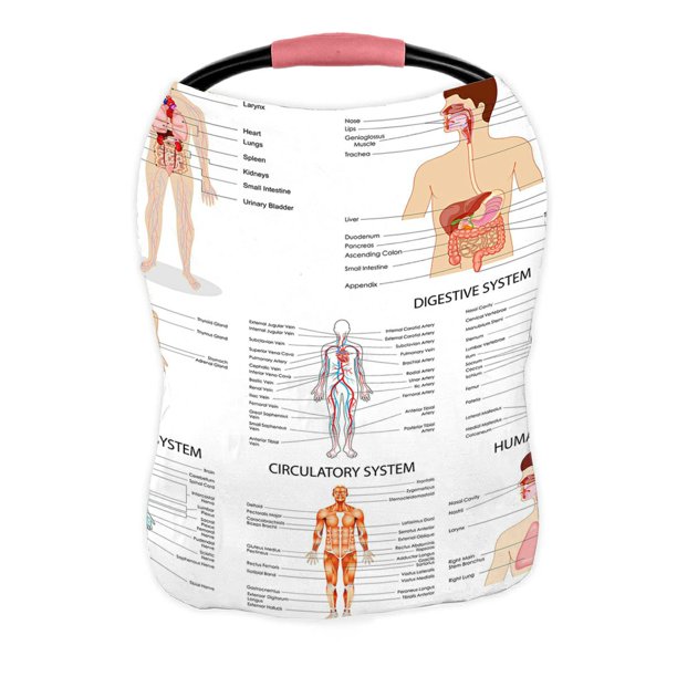 ABPHQTO Complete Chart Different Human Organ System Nursing Cover Baby
