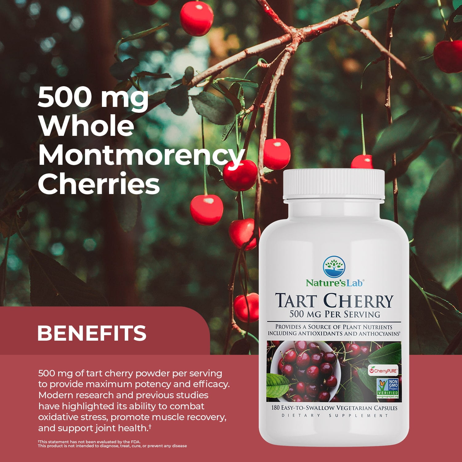 Nature’s Lab Tart Cherry 500mg – 180 Capsules (6 Month Supply) - Contains Powerful Antioxidants & Flavonoids, Supports Metabolic Functions & General Wellness – Non-GMO, Vegan, Gluten Free*