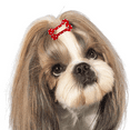 thumbnail image 4 of Dog Bone Snap Dog Barrette for Small Dog Hair, Tiny Pet Grooming Hair Accessories - shape5, 4 of 5