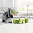 thumbnail image 2 of Exprimidor de apio y sistema de nutrición Juicer Omega Silver 200 W, 2 of 9