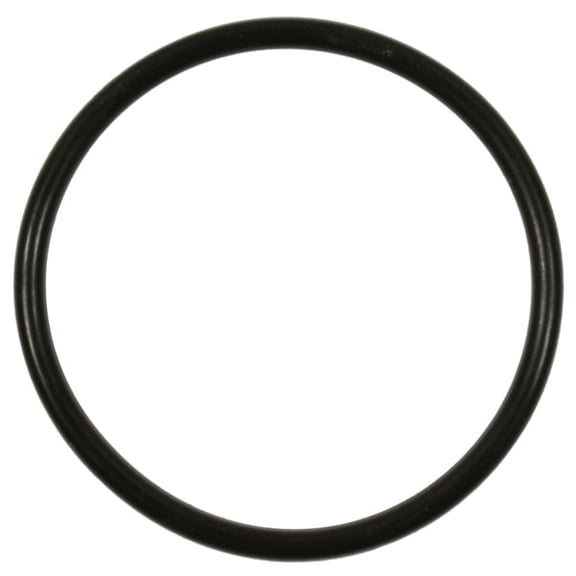 Standard Ignition Fuel Pump O-Ring