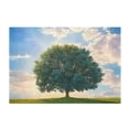 thumbnail image 2 of Ryvnso A Tree on Grassland Bathroom Shaggy Rugs Toilet Mat Soft Contour Rug, 2 of 9
