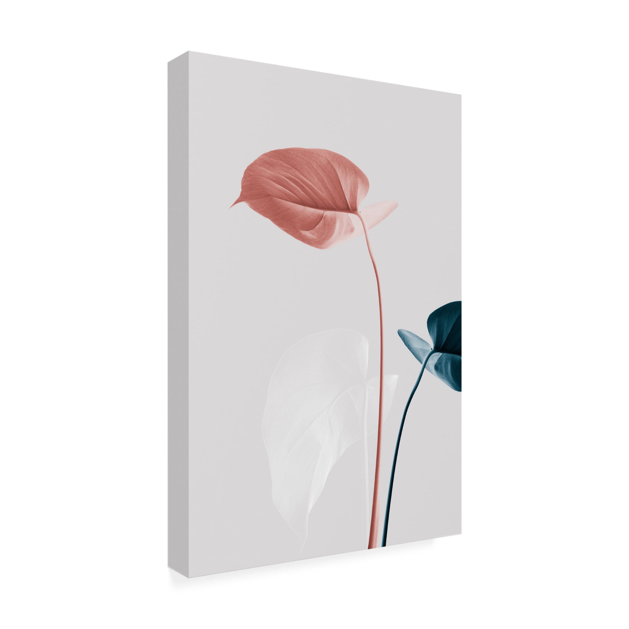 Trademark Fine Art Pictufy Studio Monstera Creative 25 Canvas Wall Art