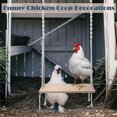 thumbnail image 3 of Chicken Swing Toy for Large Chicken Coop, Chicken Coop Accessories, 3 of 5