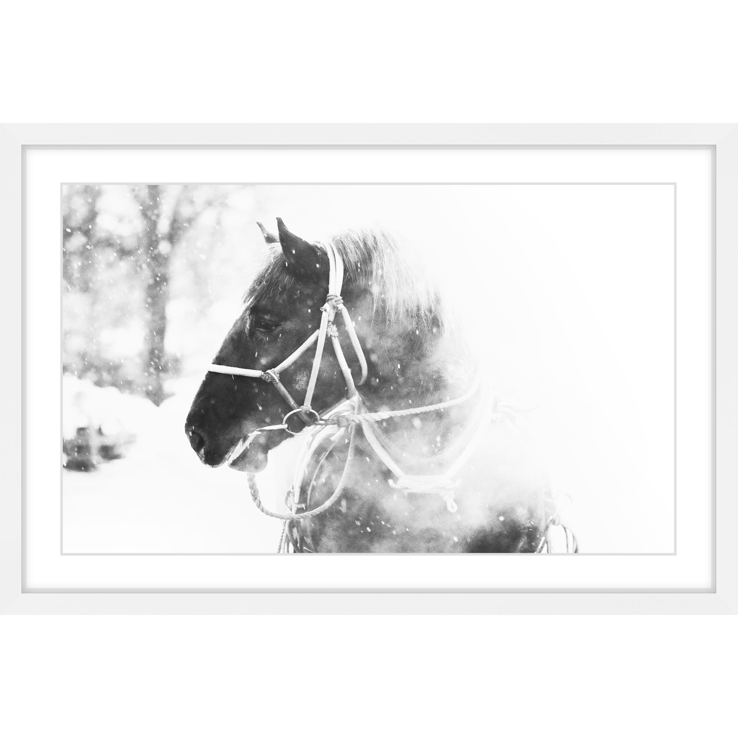 Marmont Hill "Cold Breath" Framed Painting Print