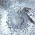 thumbnail image 1 of BDF S8MC Window Film Security and Safety Clear 8 Mil (36in X 12ft), 1 of 4