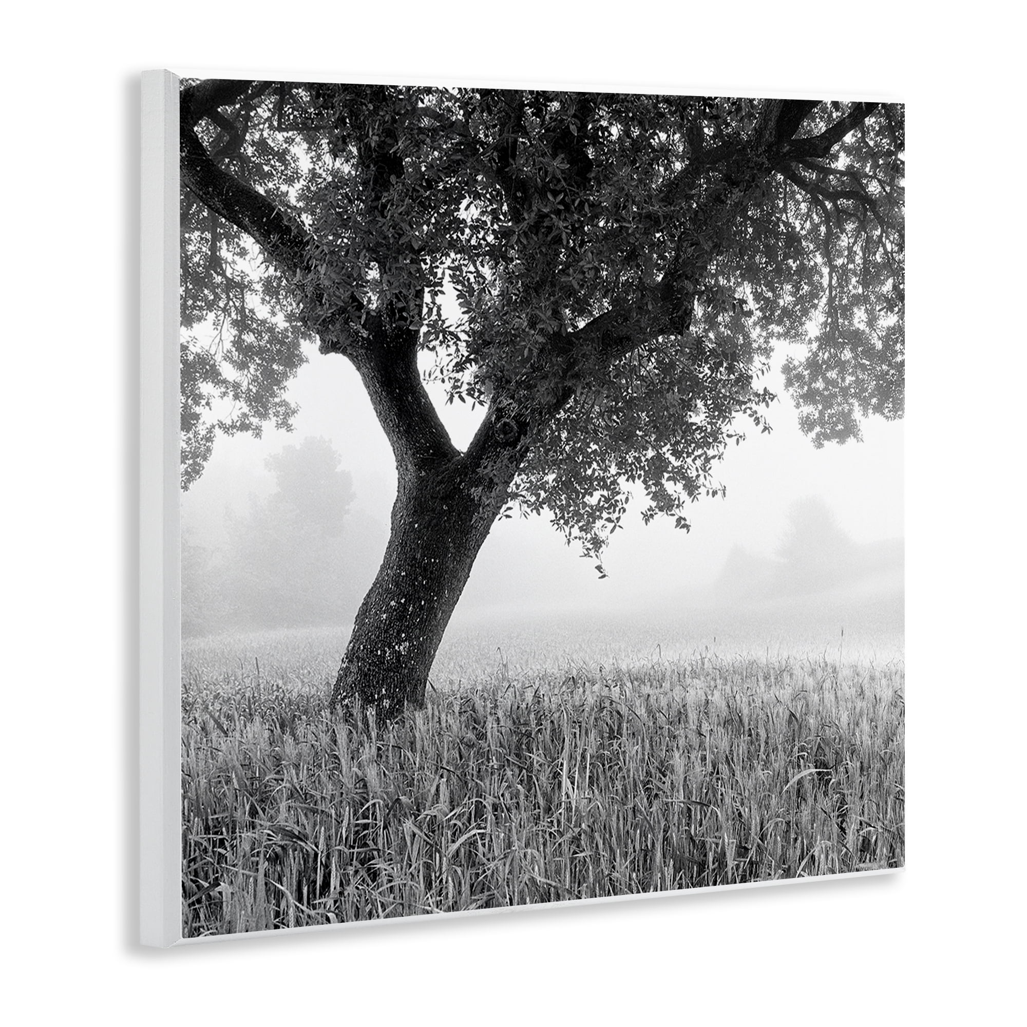 Stupell Industries Tuscan Morning Oak in Mist Wall Plaque Art, design by Chip Forelli