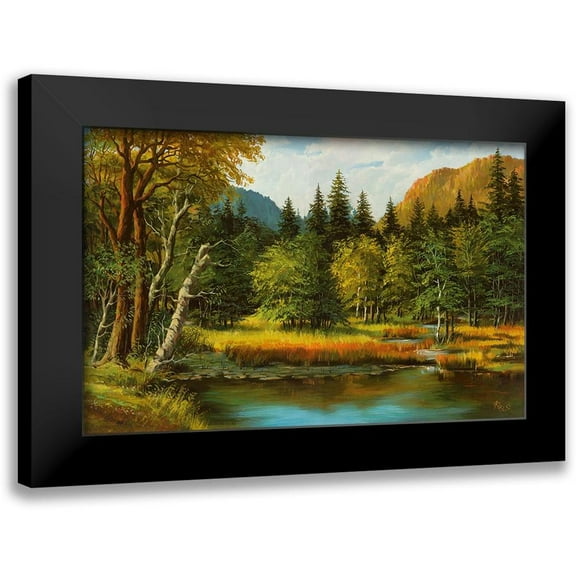 Ada-Kris 14x10 Black Modern Framed Museum Art Print Titled - LAKE IN THE WOOD