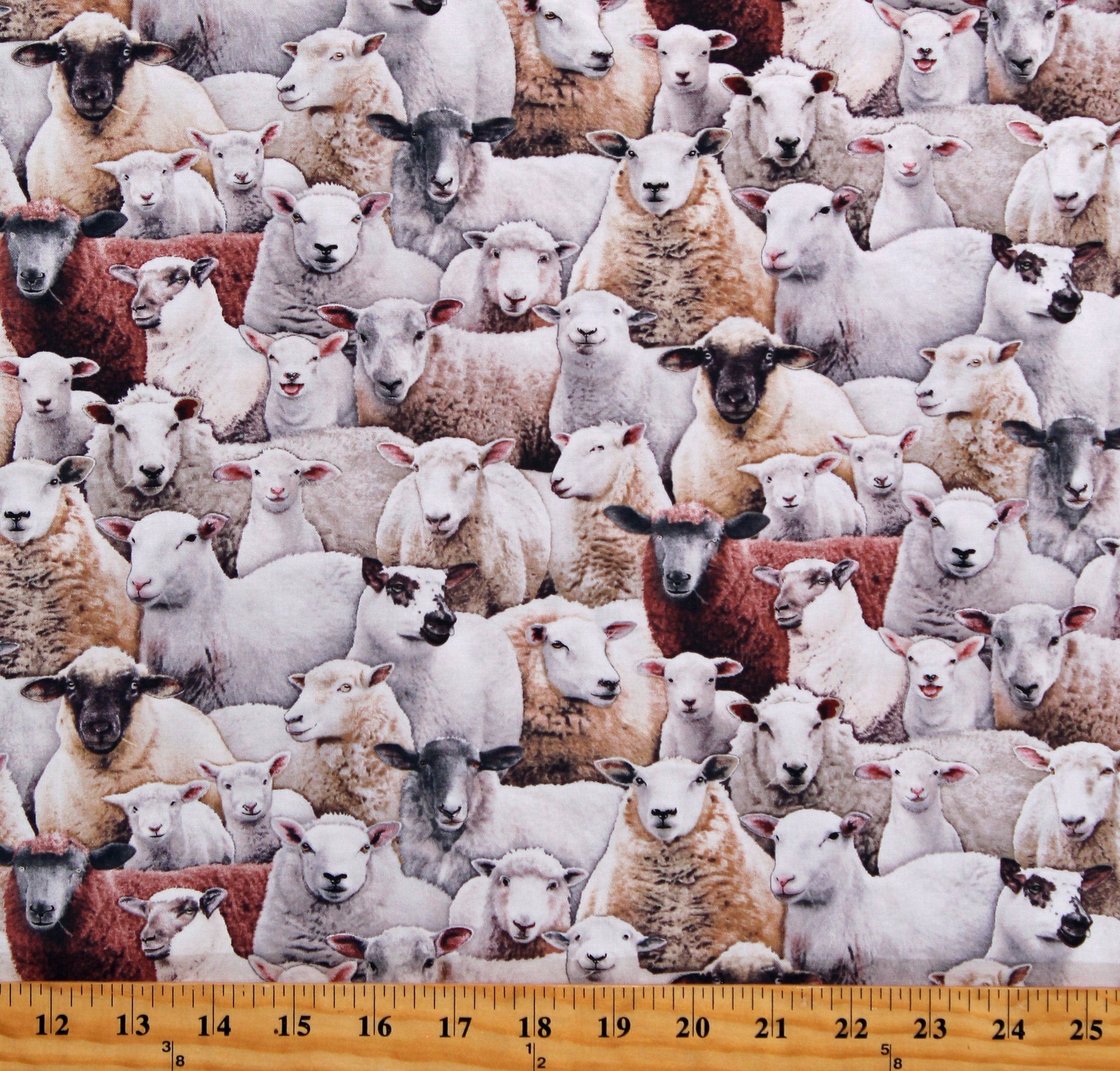 Cotton Sheep Lambs Animals Barnyard Farm Animals Cream Cotton Fabric Print by the Yard (600MULTI) Cotton Sheep Lambs Animals Barnyard Farm Animals Cream Cotton Fabric Print by the Yard (600MULTI)