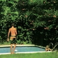 thumbnail image 1 of TOLEDO HOW IT ENDS (Vinyle Exclusif INDIE) (LP/Vinyle), 1 of 2