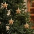 thumbnail image 1 of Cameland Golden Plastic Christmas Tree Decorations For Scene Setup, 1 of 7