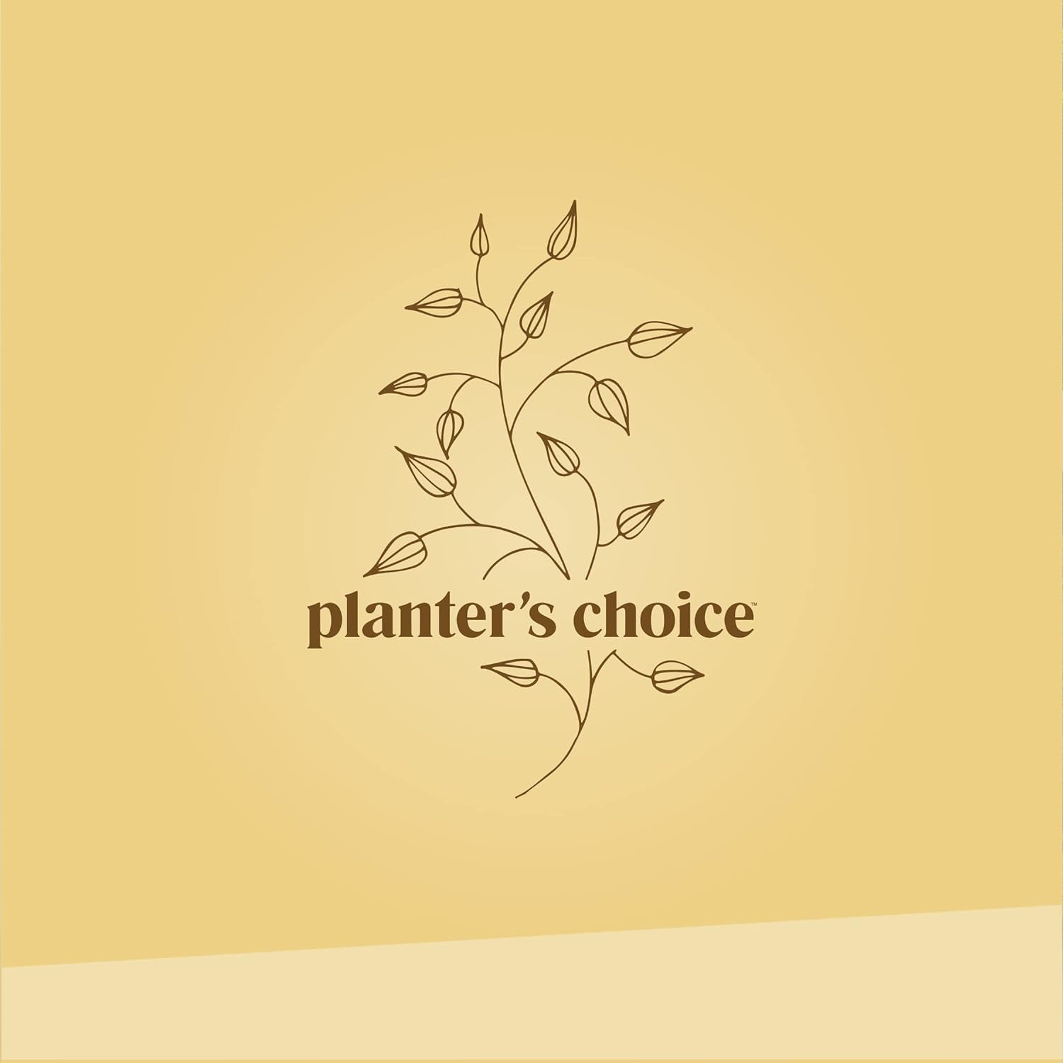 Herb Garden Growing Kit + Herb Grinder - Complete Kitchen Gardening Kit to Easily Grow 4 Culinary Herbs from Seed (Basil, Cilantro, Chives, Parsley) + Comprehensive Guide - Unique Gift for Women & Men