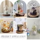 thumbnail image 5 of Campana de cristal transparente de 21 x 12 cm (8,26 x 4,7 pulgadas). Cúpula de cristal para coleccionistas. Campana decorativa con asa esférica., 5 of 9