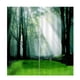 thumbnail image 2 of 2 piezas estilo cortina bufanda ventana cortina decorativa conjunto Bosque de Zulema Cortinas De Ventana De Baño, 2 of 8