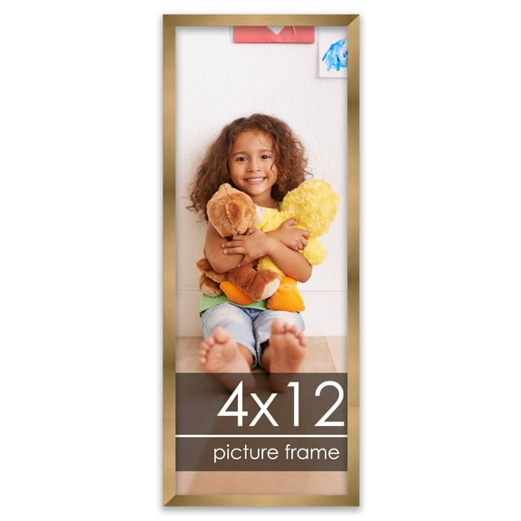 4x12 Gold Bronze Wood Picture Frame - UV Acrylic, Foam Board Backing, Hanging Hardware
