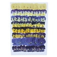 thumbnail image 1 of tredstone Pressed Dried Flowers, Flowers, Accessories. Yet And Decorating, Prom Decorations, Resin Projects. Vibrant Colors Colorful 96 Film（A）, 1 of 6