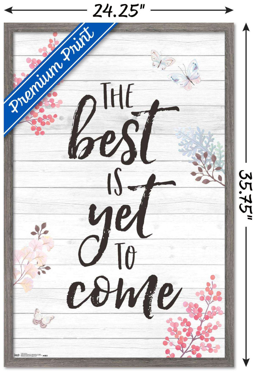 The Best Wall Poster, 22.375" x 34", Framed