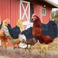thumbnail image 4 of Silla De Montar De Pollo, Delantal De Silla De Gallina Transpirable De Amplia Aplicación, Tela Vaquera Cosida A Mano, Lavable, 4 Piezas, Multifuncional Para El Hogar, 4 of 7