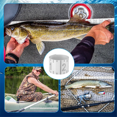 thumbnail image 6 of 72 Inch Fish Measuring Tape Waterproof Fish Ruler Sticker Decal Clear Self Adhesive Fish Ruler for Boat Fishing, 6 of 6