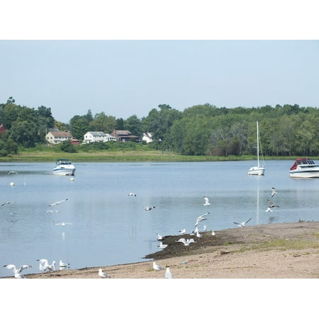 LAMINATED POSTER Boats Cove Wethersfield Connecticut Ducks Gulls Poster Print 24 x (Best Duck Boat On The Market)