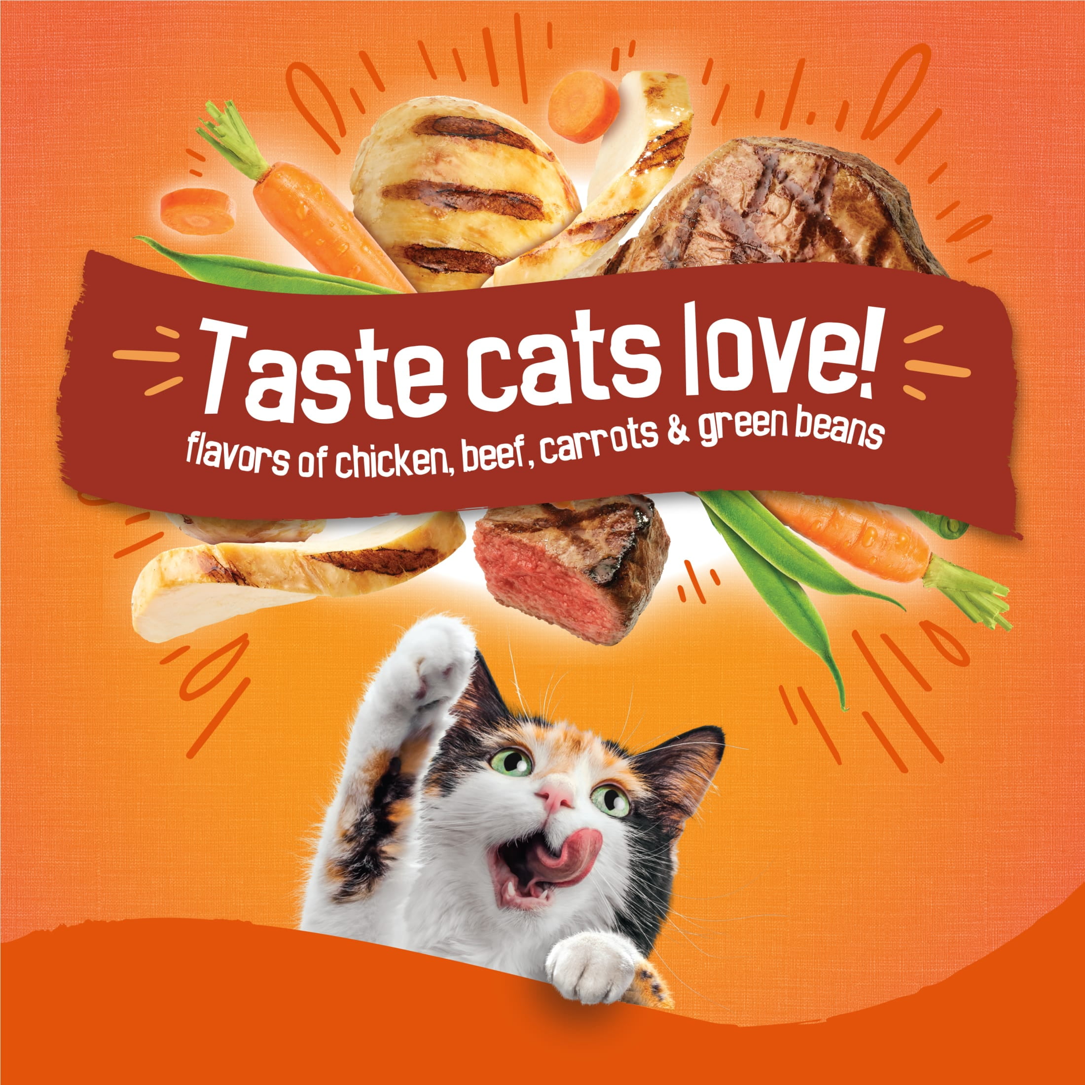 Purina Friskies Tender and Crunchy Dry Cat Food Flavors of Chicken, Beef, Carrots and Green Beans, 3.15 lb Bag