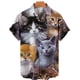 thumbnail image 4 of Camisa hawaiana con estampado 3D completo de gato para hombre, camisetas casuales de manga corta con botones para verano, camisas para hombre, 4 of 5